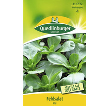 Feldsalat-Saatgutpackung von Quedlinburger