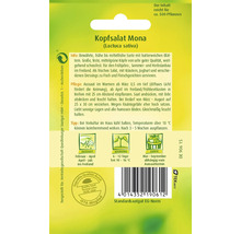 Kopfsalat Mona Samenpackung