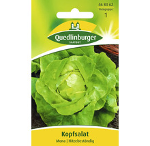 Kopfsalat Samen, Sorte Mona, hitzebeständig