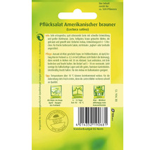 Samenpackung Pflücksalat Amerikanischer Brauner