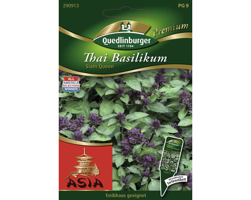 Semences de fines herbes basilic thaï Siam Queen