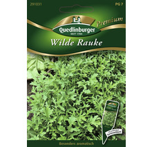 Wilde Rauke Quedlinburger Kräutersamen