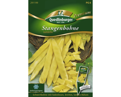 Haricots communs Goldelfe Quedlinbourg semences résistantes graines de légumes Paquet de graines de haricots grimpants Goldelfe
