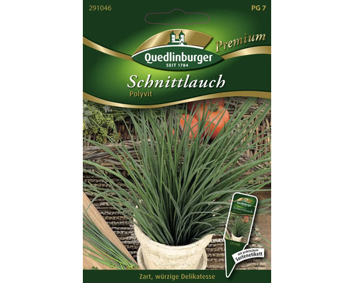 Semences de fines herbes ciboulette 'Polyvit' Quedlinburger