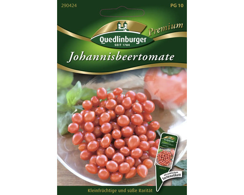 Tomate groseille Quedlinburger semence de légumes