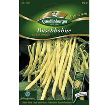 Quedlinburger Haricot nain Golden Teepee sachet de graines