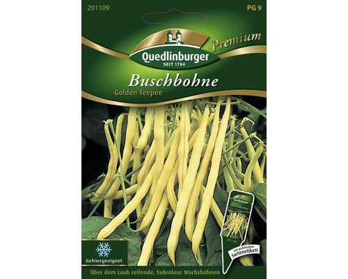 Haricot nain 'Golden Tepee' Quedlinbourg semences résistantes graines de légumes Quedlinburger Haricot nain Golden Teepee sachet de graines