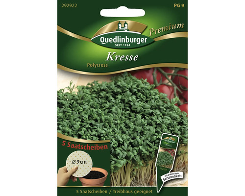 Semences de fines herbes cresson 'Polycress' Quedlinburger disque de graines