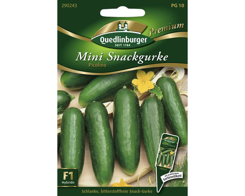 Mini-concombre à croquer 'Picolino' Quedlinburger semence de légumes