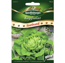 Semences de salade laitue 'Attraktion' Quedlinburger ruban de graines