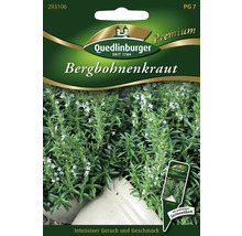 Bergbohnenkraut Quedlinburger Kräutersamen