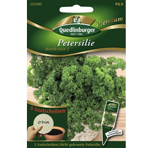 Persil « Nain frisé mousse 2 » Quedlinburger semence de fines herbes