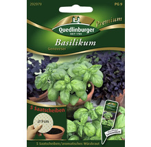 Basilikum 'Genoveser' Quedlinburger Blumensamen Saatscheiben