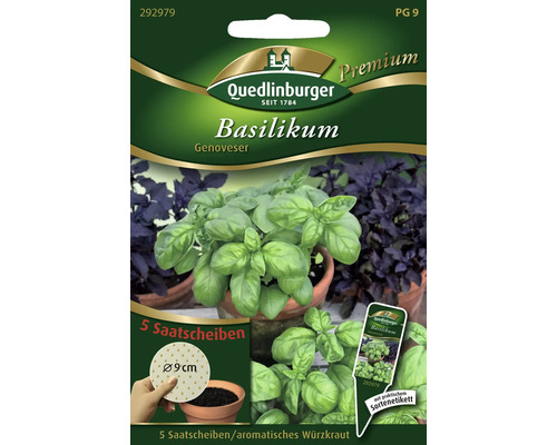 Semences de fines herbes basilic 'Genoveser' Quedlinburger disques de graines Quedlinburger Basilic Genoveser, paquet de graines avec cinq disques de semis