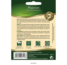 Semences de fines herbes marjolaine 'Marcelka' Quedlinburger