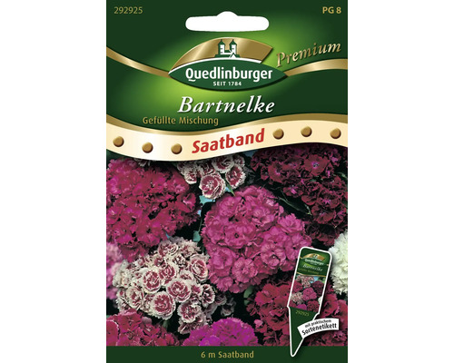 Semences de fleurs œillet de poète 'Double mélangé' Quedlinburger ruban de graines Oeillet barbu Quedlinburger mélange rempli Ruban de graines, 6 mètres