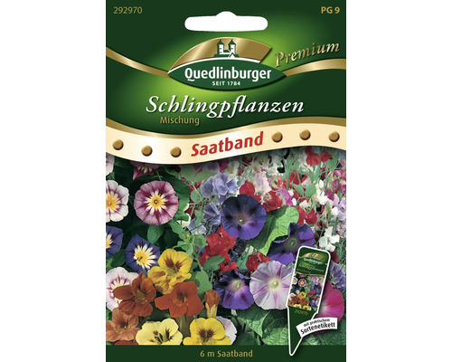 Semences de fleurs mélange de plantes grimpantes Quedlinburger ruban de graines Quedlinburger Mélange de plantes grimpantes Ruban de graines, 6 mètres