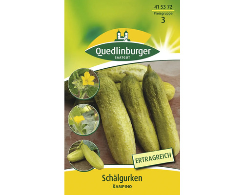 Concombre « Kampino » Quedlinburger semence de légumes