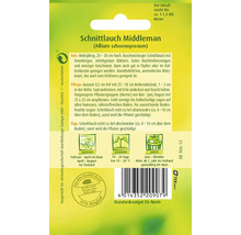 Schnittlauch 'Middleman' Quedlinburger Kräutersamen