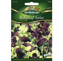 Salade à couper « Babyleaf » mélangée Quedlinburger semence de salade