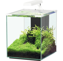 Aquarium aquatlantis Nano Cubic 30 avec arrière en verre givré, éclairage LED, filtre, chauffage, pompe blanc (sans armoire)-thumb-0