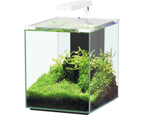 Aquarium aquatlantis Nano Cubic 30 avec arrière en verre givré, éclairage LED, filtre, chauffage, pompe blanc (sans armoire)-0
