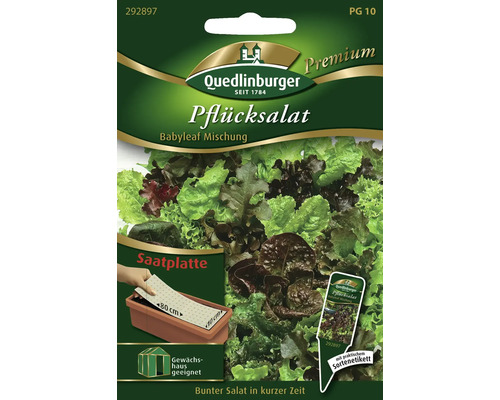 Semences de salade laitue à couper 'Babyleaf' Quedlinburger disque de graines