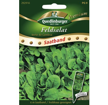Semences de salade mâche 'Verte de Cambrai' Quedlinburger ruban de graines