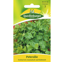 Petersilie 'Festival 68' Quedlinburger Kräutersamen