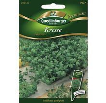 Kresse 'Polycress' Quedlinburger Kräutersamen