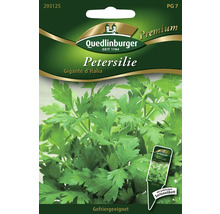 Persil « Gigante d'Italia » Quedlinburger semence de fines herbes