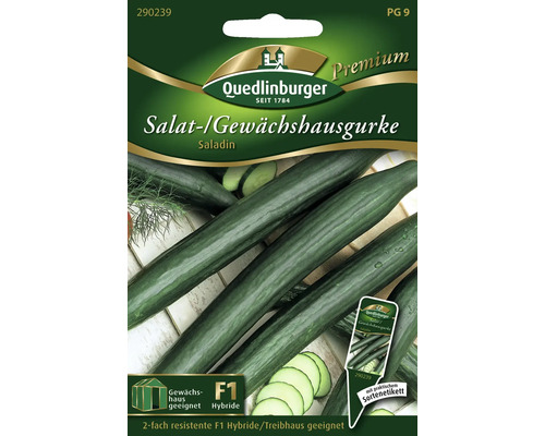 Concombre de serre « Saladin » Quedlinburger semence de légumes