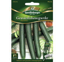 Gewächshausgurke 'Marumba' Quedlinburger Gemüsesamen