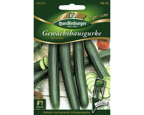 Concombre de serre 'Marumba' semences de légumes Quedlinburger