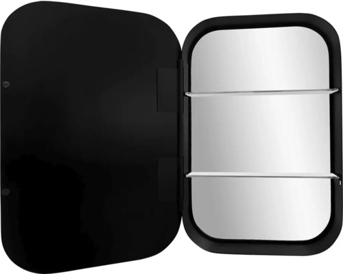 Armoire de toilette ouverte avec deux étagères