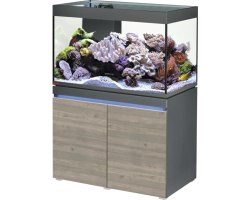 Kit complet d'aquarium EHEIM incpiria 330 avec pompe d'alimentation et meuble bas éclairé graphite/chêne rustique (sans éclairage d'aquarium)