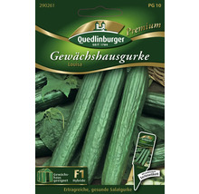 Quedlinburger Gewächshausgurke Louisa Samenpackung