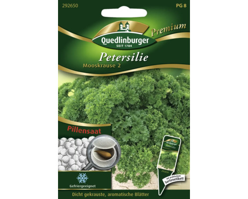 Semences de fines herbes persil 'Nain frisé mousse 2' Quedlinburger