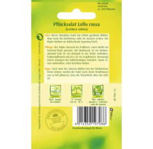 Pflücksalat Lollo rossa Saatgutpackung