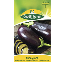 Aubergine 'Black Beauty' Quedlinburger Gemüsesamen