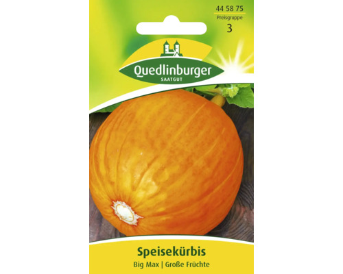 Courge comestible « Big Max » Quedlinburger semence de légumes Sachet de graines de courge comestible Big Max de Quedlinburger Saatgut