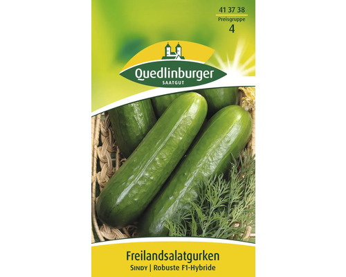 Concombre de pleine terre « Sindy » Quedlinburger semence de légumes Image d''un paquet de graines de concombres de pleine terre