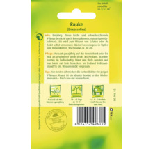 Samenpackung Rauke (Eruca sativa) mit Informationen zu Aussaat, Pflege und Ernte