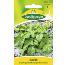 Rucola Samenpackung von Quedlinburger