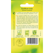 Sachet de graines de basilic vert