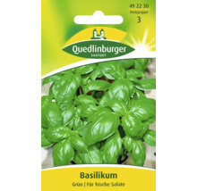 Sachet de graines de basilic de Quedlinburger Saatgut