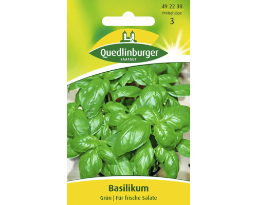 Basilic « vert » Quedlinburger semence de fines herbes Sachet de graines de basilic de Quedlinburger Saatgut