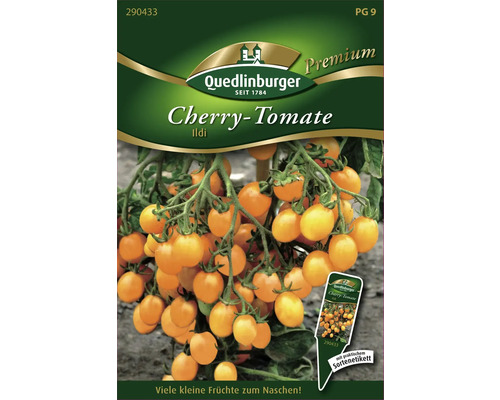 Semences de légumes tomate-cerise 'Ildi' Quedlinburger Semences de tomates cerises Quedlinburger Ildi