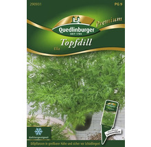 Quedlinburger Topfdill Ella Samenpackung