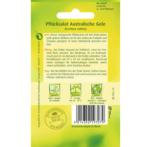 Samenpackung Pflücksalat Australische Gele